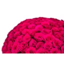 Bouquet of pink roses